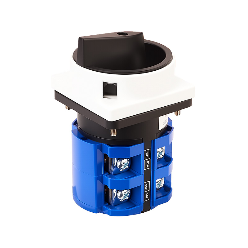 ZHUCO SZW26-63/2GS Gray-Black OFF-ON Two-Position Two-Pole Power Switch